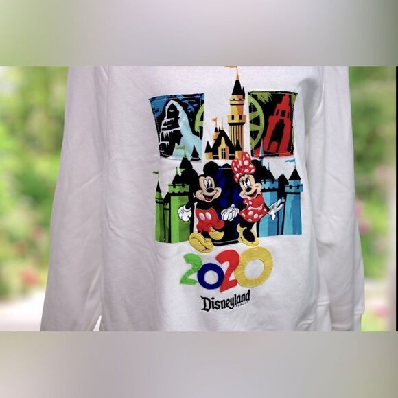 🔥🔥 DisneyParks Disneyland 2020 Hoodie Sweatshirt Jumper Zip-up jacket Size 1X - Picture 7 of 13